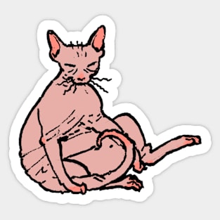 Fat Cat-Pink Sphynx Sticker